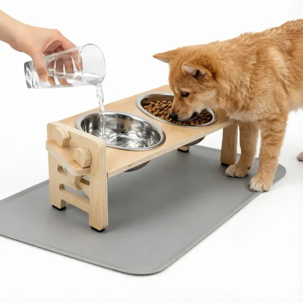 Puppy Feeder Set