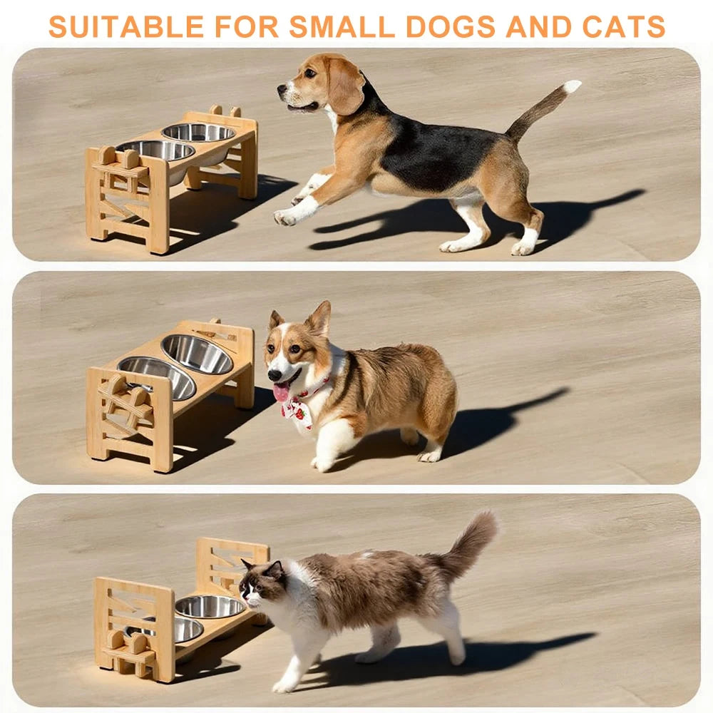 Puppy Feeder Set