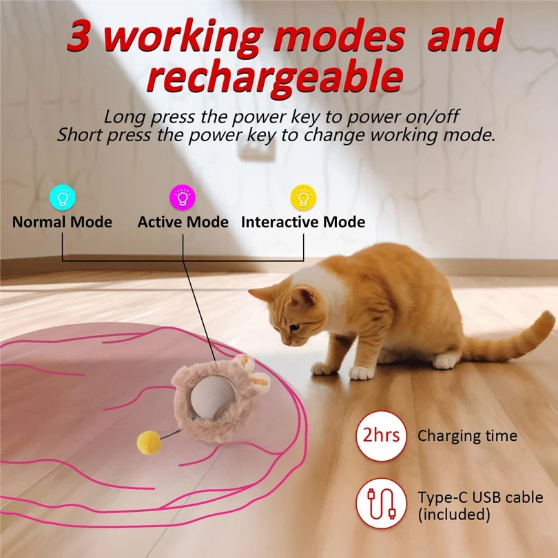 Interactive Cat Toy Set