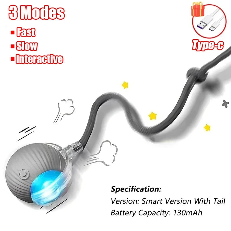 Interactive Cat Toy Set