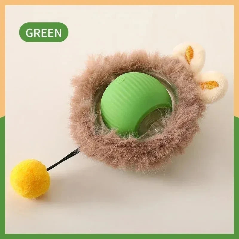 Interactive Cat Toy Set