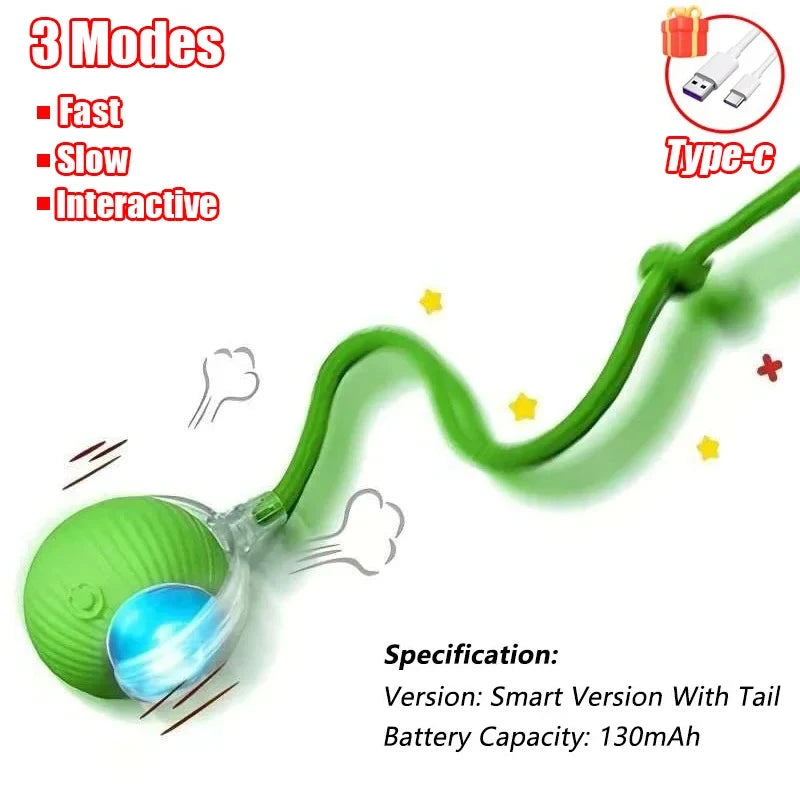 Interactive Cat Toy Set