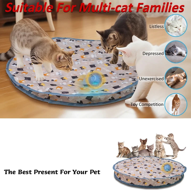 Interactive Cat Toy Set