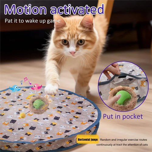 Interactive Cat Toy Set